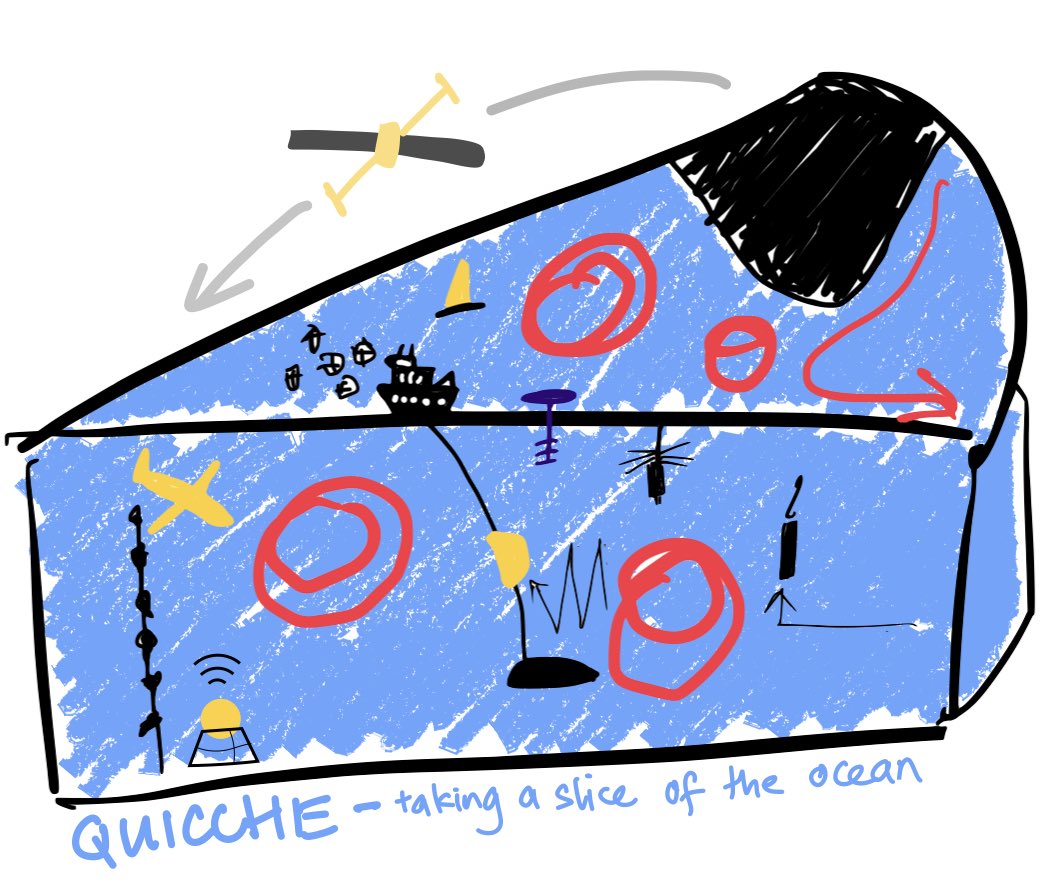 Lisa M Beal tweet media