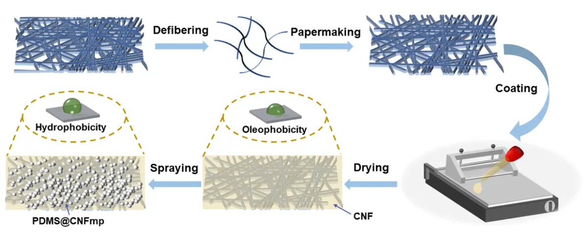 BioResJournal's tweet photo. #Nanocellulose & #Polysiloxane #Coatings for Strength Enhancement & #Oil-proof & #Hydrophobicity Improvement of #Recycled Pulp Sheets.
https://t.co/P8vKmn8FL1
#BioResJournal #openaccess #packaging #pulpandpaper #papermaking #recycledfiber #Polydimethylsiloxane #coatedpaper https://t.co/0dQ2ZTDTV3