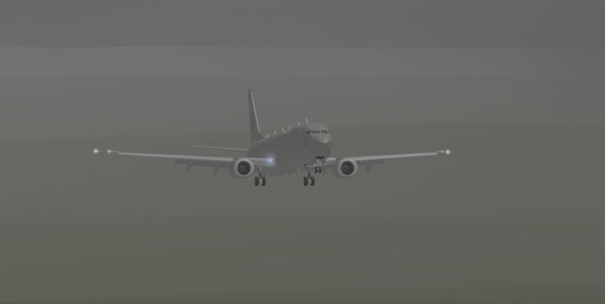 No.1 Group has a variety of operational aircraft, one of which is the P-8 Poseidon. 

This aircraft is a anti-submarine warfare aircraft, meaning it can seek and destroy submarines. This aircraft is currently operated by 13 Squadron.