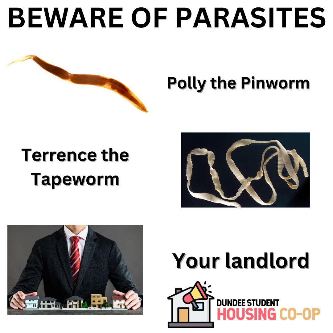 Do you know of any parasite landlords?