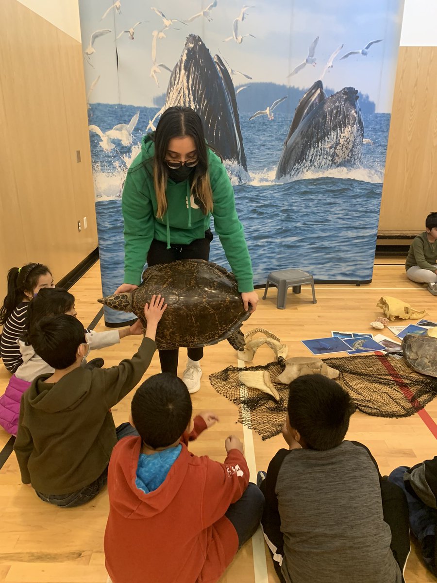 Fleming School tweet media