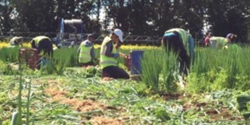 Conditions of food work are usually “bad.” What does #goodfoodwork look like &amp; how can #scholar-activists help advance it? New <a href="/JAFSCD/">JAFSCD</a> article by <a href="/UBC/">University of British Columbia</a> <a href="/BristolUni/">University of Bristol</a> <a href="/cardiffuni/">Cardiff University</a> gives insights from international Good Work for Good Food Forum. Read for free: bit.ly/41gKDY1