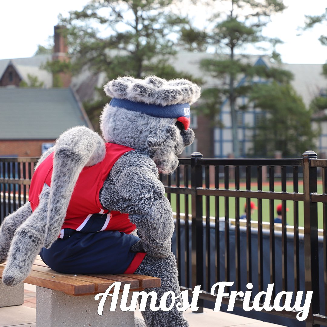 SpiderBaseball's tweet image. You know what that means… #AlmostGameDay 

🕷️⚾️ hosts Yale starting Friday for a weekend series at Pitt Field! #OneRichmond