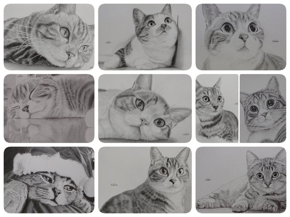 6MK5utpa1hgVKGt's tweet image. おはようございます😊
今日はお休みなので、久しぶりに美容院へ行ってきます💇✨
お仕事、学校、お出かけの皆さまお気をつけて( *´꒳`*)ฅ&quot;ｲｯﾃﾗｯｼｬｲ      よい一日を～(*¨̮*)

 #毎日が猫の日  #鉛筆画  #模写