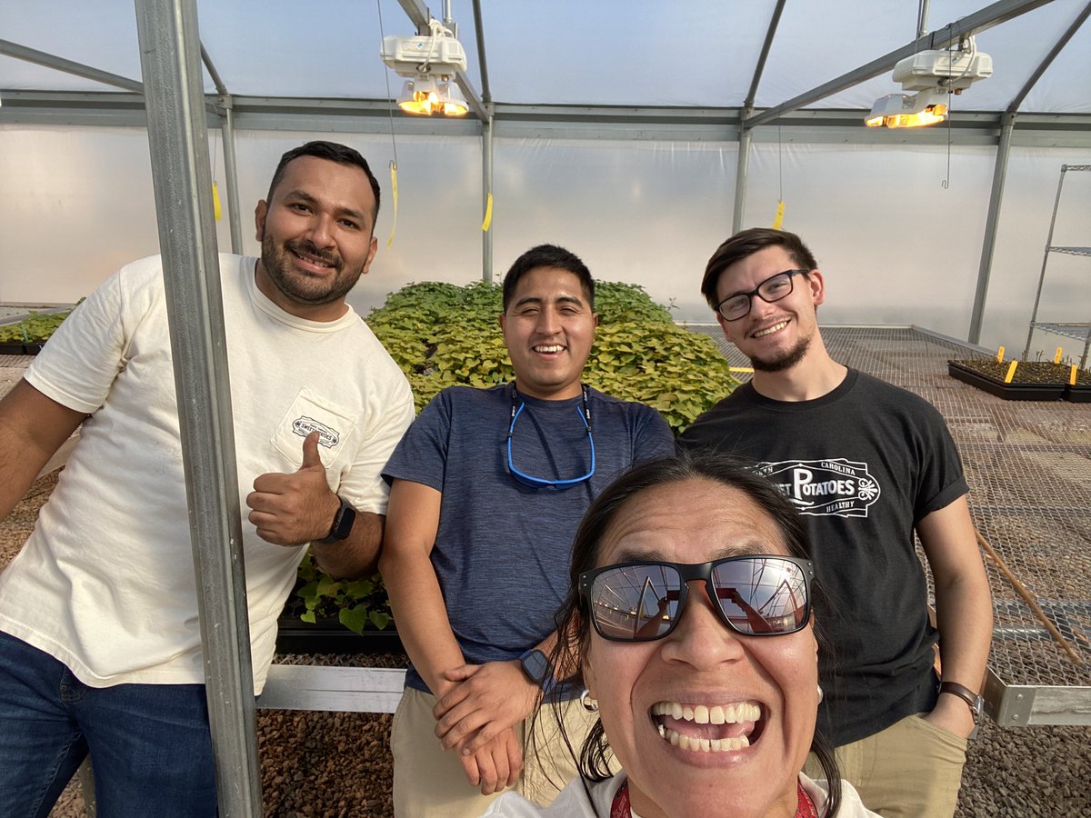 xtiealmeyda's tweet photo. Officially done with Sweetpotato greenhouse season! So proud of my MPRU team. Our plants are going places πͺπ½πͺπ½πͺπ½ #NCStateAgriculture #NCPN-SP #CleanSeed https://t.co/r3i4PYlM9W