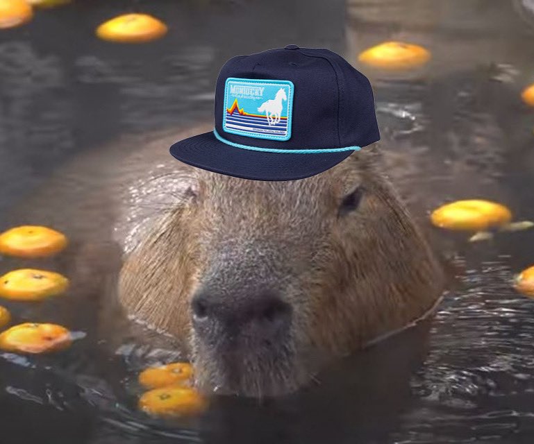 Montucky Cold Snacks tweet media