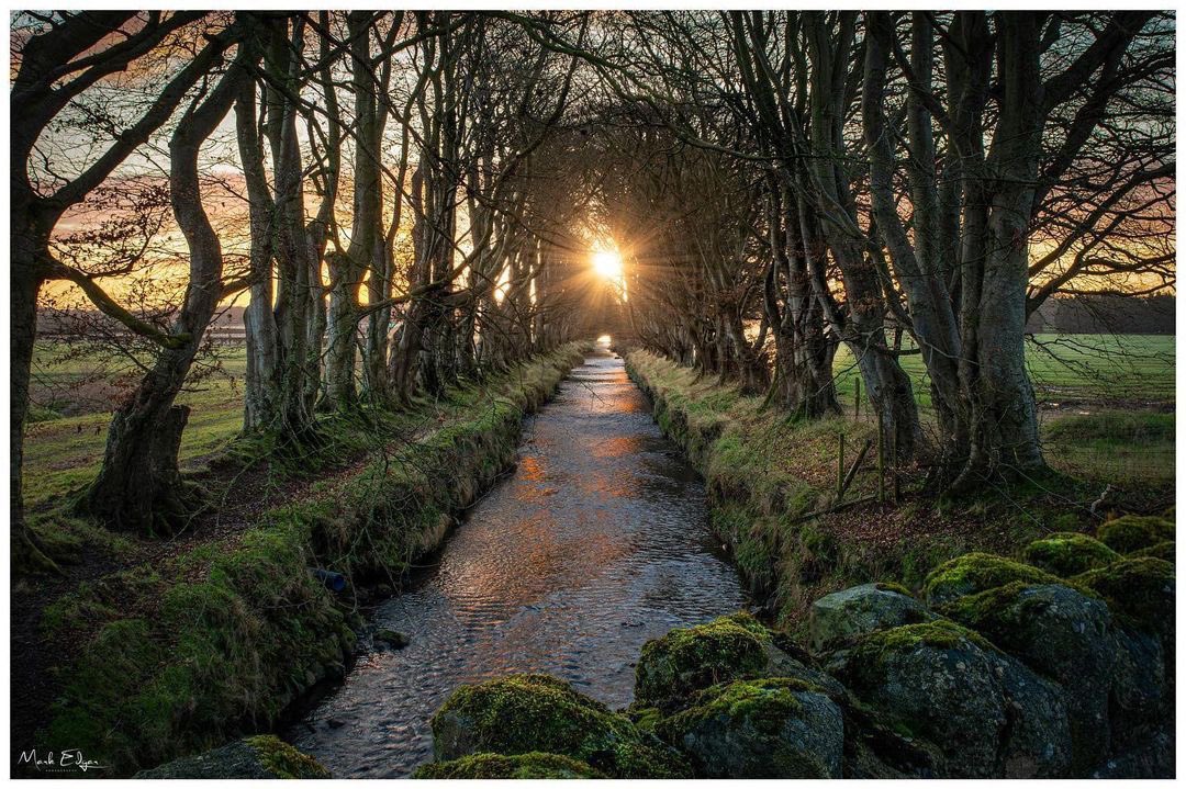 Bout_Yeh's tweet photo. SYMMETRY sunrise over the River Six Mile Water near Ballyclare, County Antrim, photographed by the one and only mark_edgar_photography IG id.

#sixmilewater #countyantrim #sunrise #sunscapes #treescapes #irishlandscapes  #boutyeh #irish #ireland https://t.co/g6vYus92eC