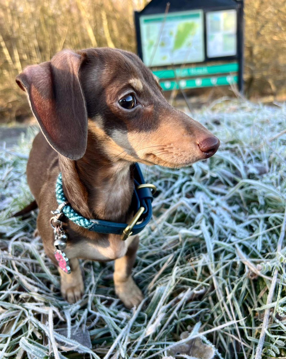 Michael Harris tweet media