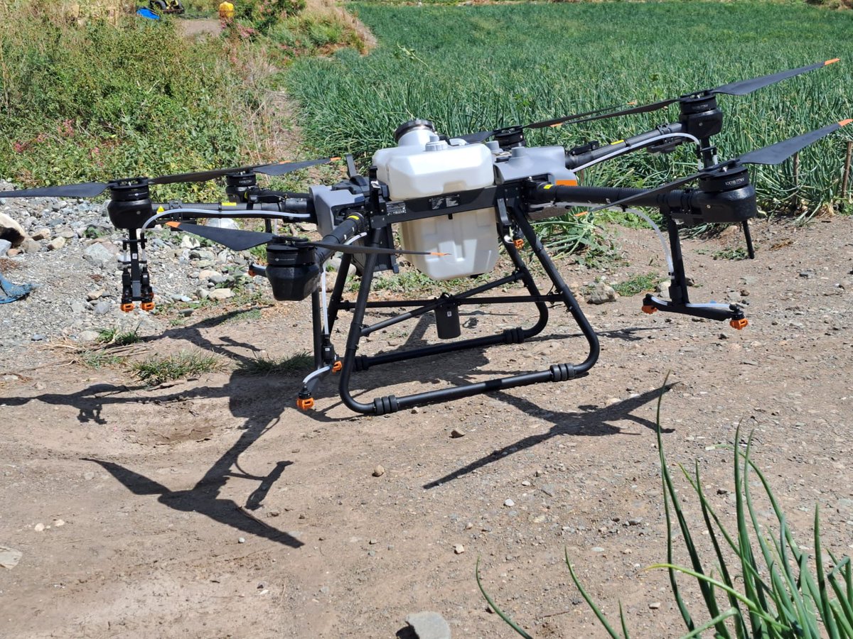 Rural Agricultural Development Authority (RADA) tweet media