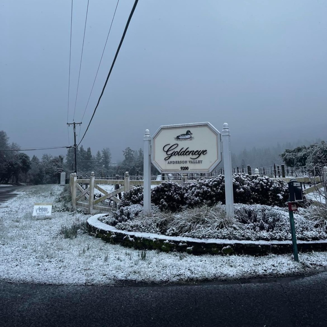 Anderson Valley is a winter wonderland! ❄️