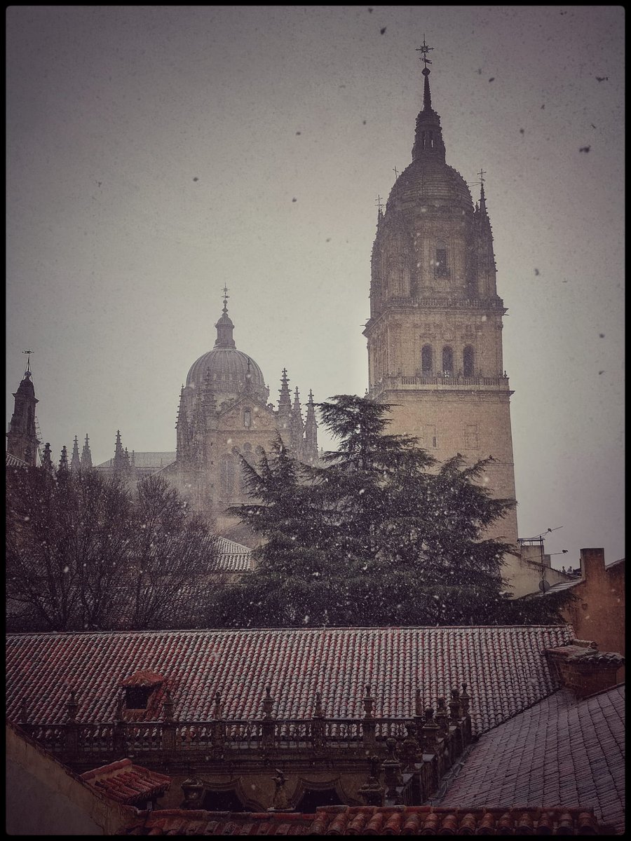 cmfrayluisusal's tweet photo. Hoy la nieve se ha dejado ver por Salamanca y no hemos dudado en salir a disfrutar de ella y hacer estas increíbles fotos ❄️🤍❤❄️ https://t.co/3uGNvldvdV