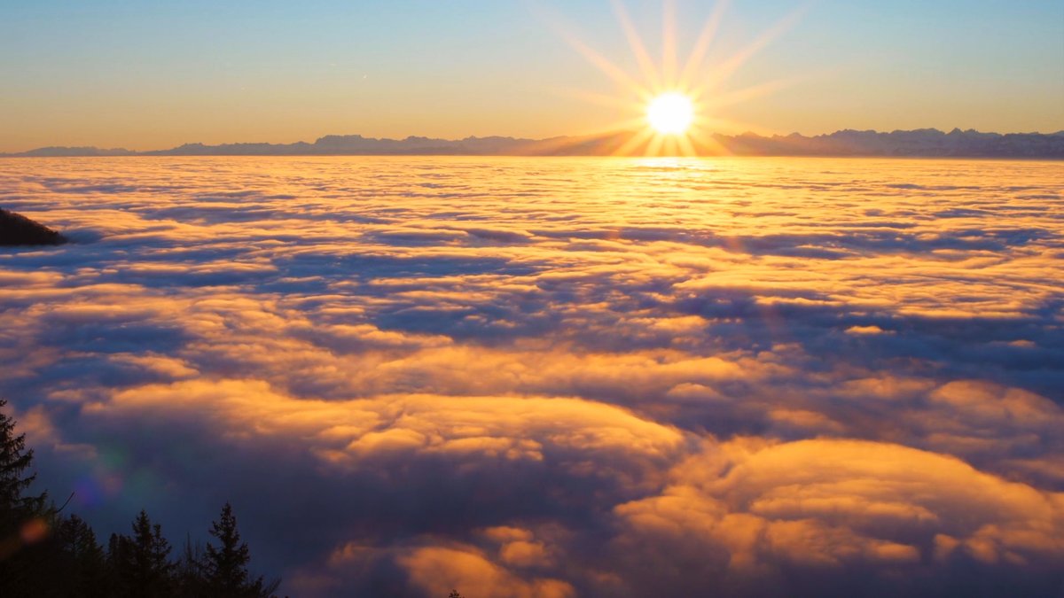 MusicMvcrea's tweet photo. Nouvelle vidéo! Elle va te plaire ! ♥ Abonne-toi, aime, commente et PARTAGE 😘
New video! You will like it! ♥ Subscribe, like, comment and SHARE 😘
#musicandvideo #sunset #sunsetlovers #nature #beautiful #sunsets #sun #sky #sea #pianomusic #Peaceful
https://t.co/0ie3g4ABnM https://t.co/Di8uCE4l8m