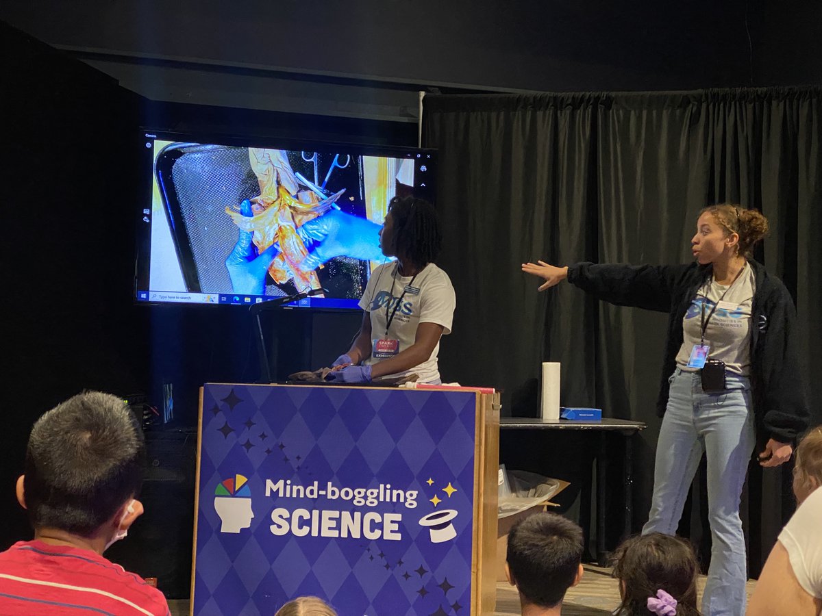 Minorities in Shark Sciences (MISS) tweet media