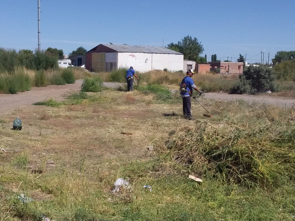➡️ Se realizó limpieza, desmalezamiento y erradicación de mini-basurales en Barrio Guayra.

💪 El personal municipal estuvo trabajando arduamente sobre las distintas calles del barrio, como respuesta a la solicitud de los vecinos.

#TenésTrelew #TenésLimpieza