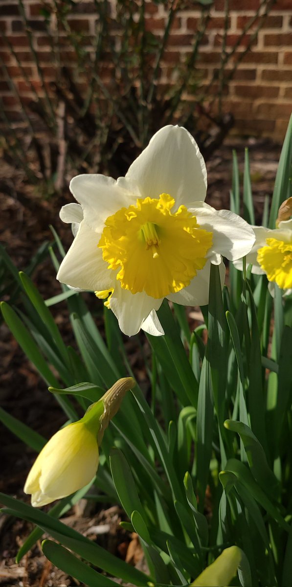 apensfan's tweet photo. Looking a lot like spring.
#stillwishingforsnow #herecometheallergies #moretissuesplease https://t.co/xGZ3wVXLMM