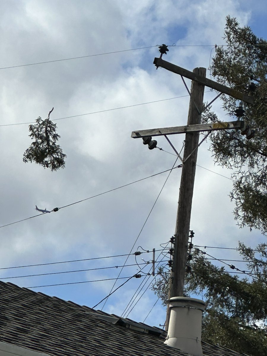 Steve Bevan tweet media