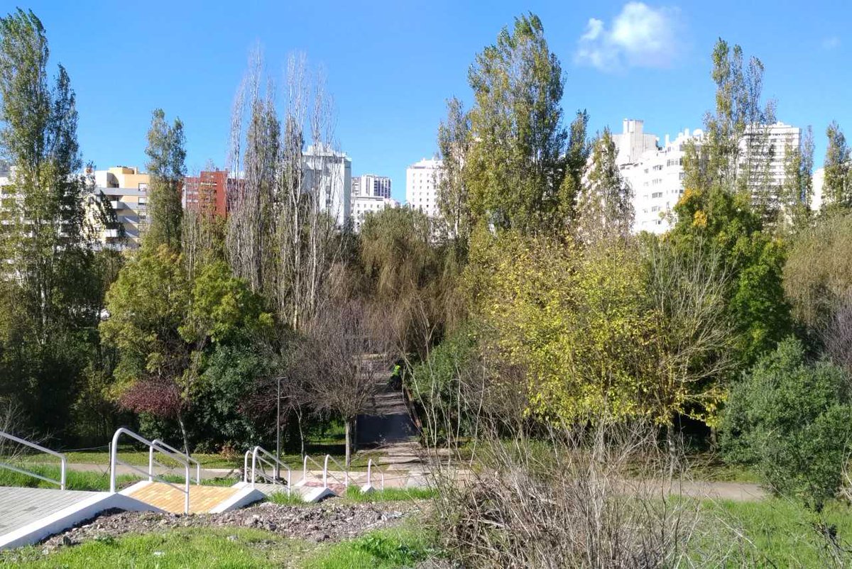 CE3CResearch's tweet photo. Building biodiver-cities 🌳🏙️🌲
@grilo_filipa's latest paper contributed to decision-making on urban green infrastructure management, by integrating species traits, socio-cultural, economic and governance factors. 🔑4 population well-being in cities
+info: https://t.co/NrtwqfnXke https://t.co/CPcDROC9EM
