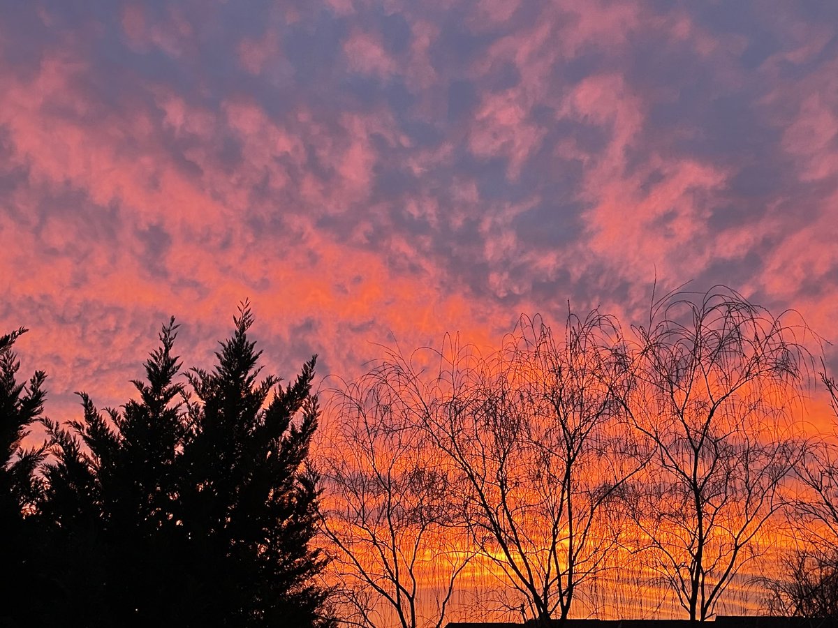 Nancy Decker tweet media