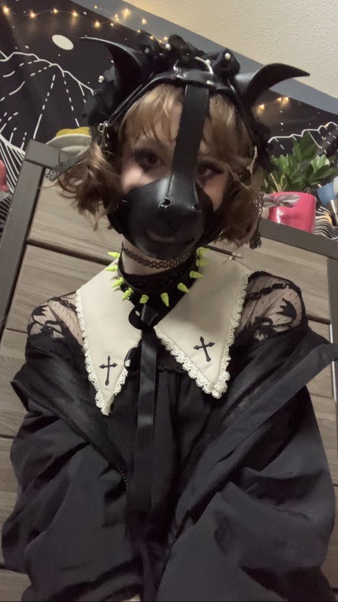 lilstarlite's tweet photo. It's your creepy older sister that loves to put her paws all over you https://t.co/HqNcnwlS8y