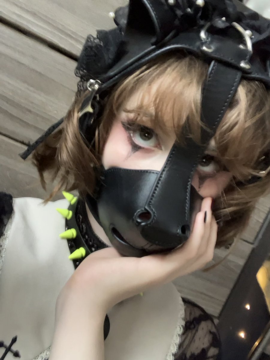 lilstarlite's tweet photo. It's your creepy older sister that loves to put her paws all over you https://t.co/HqNcnwlS8y