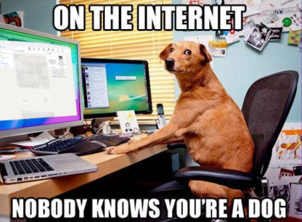 TheXPlace's tweet photo. Think you fooled everyone with your fake profiles, Fido? Get outta here! @TheXPlace does bank-level ID-verification for all of our professionals and gaming companies.
👉🏼Level up your professional creditability: https://t.co/suDspc8t3l
#TheXPlace #GameDevJobs #GameDesignJobs https://t.co/HQSYEYc8vs