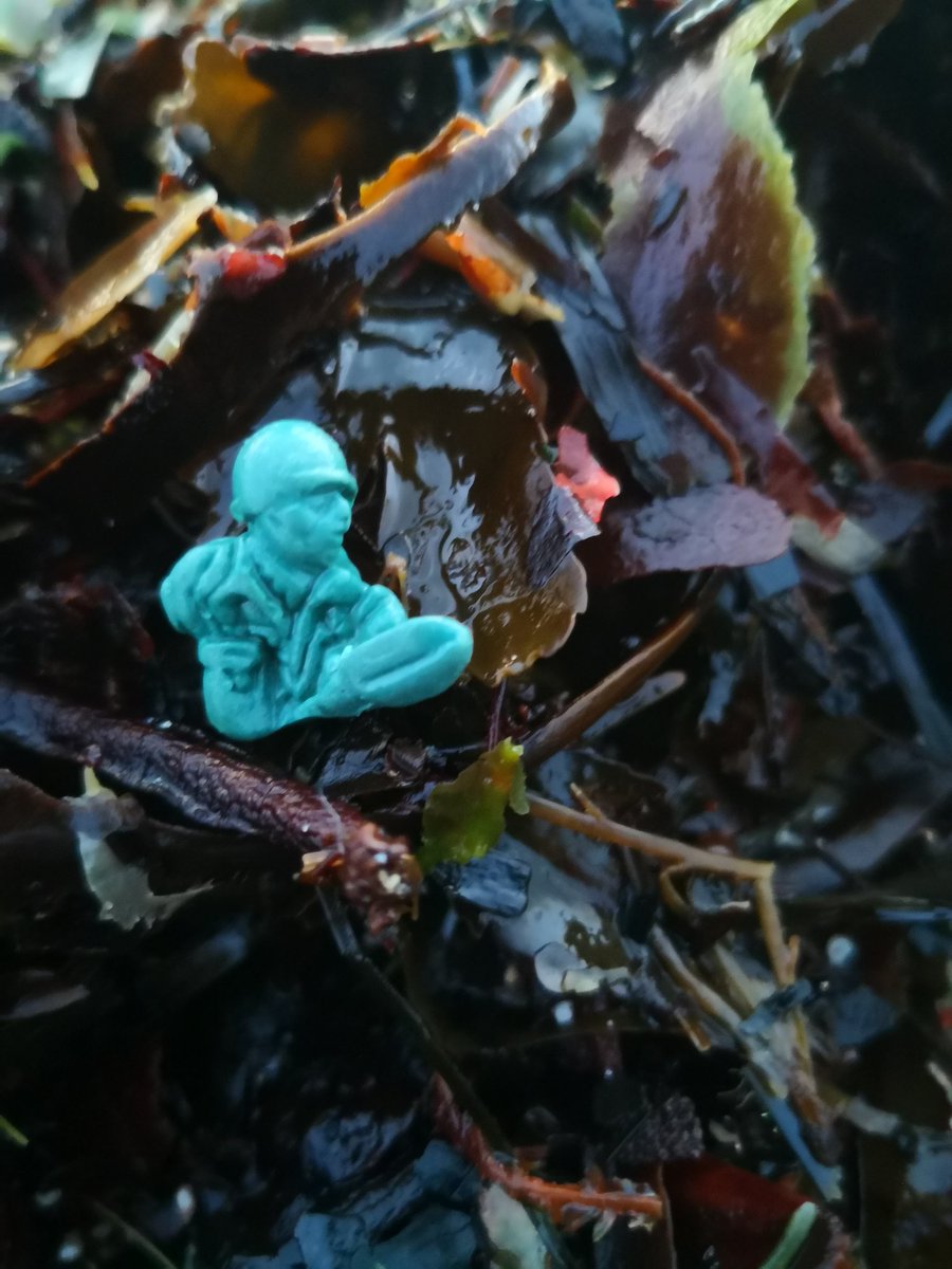 BareFoot_IOS's tweet photo. Went for a #BareFootBimble after work &amp; found some pretty cool things in the gloaming... 
 🟢 Part of a @ROWNTREES Imperial late 50's/early 60's letter #SmartieLid;
☠️ Man down in the #FlotsamArmy, resting amongst the seaweed

A definite green day

#IslandLife #OceanDrifters https://t.co/9HGbf2ZHBT