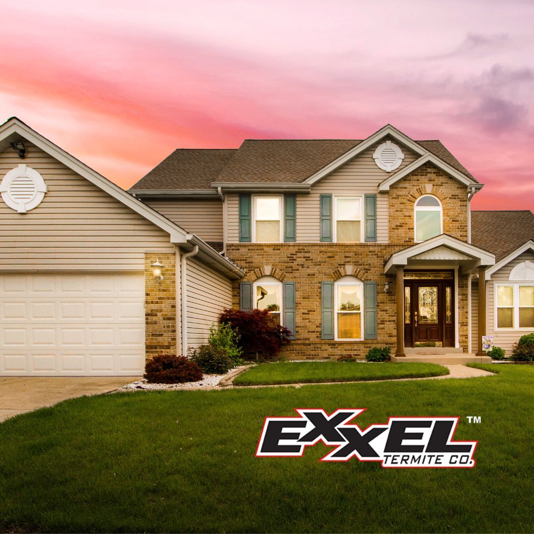 You should always feel safe in your home from termites. Call us today to see what your options are (866)-787-6483! 🏠🦟🚫
#exxeltermite #termite #termitecontrol #fumigation #repairs #termiteinspection #freeinspection #elliethetermite #orangecounty #lacounty