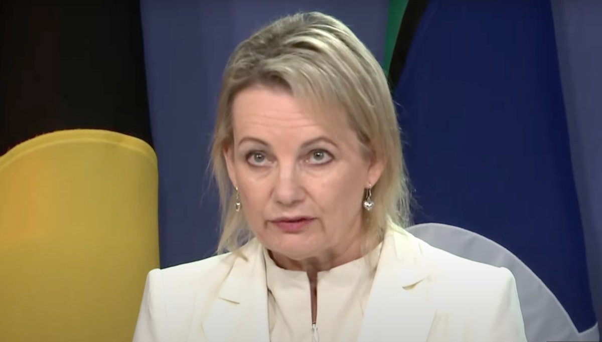 TheShovel's tweet photo. The Voice is a "vanity project", says MP who added an extra S to her name https://t.co/JcNuFiVsIC