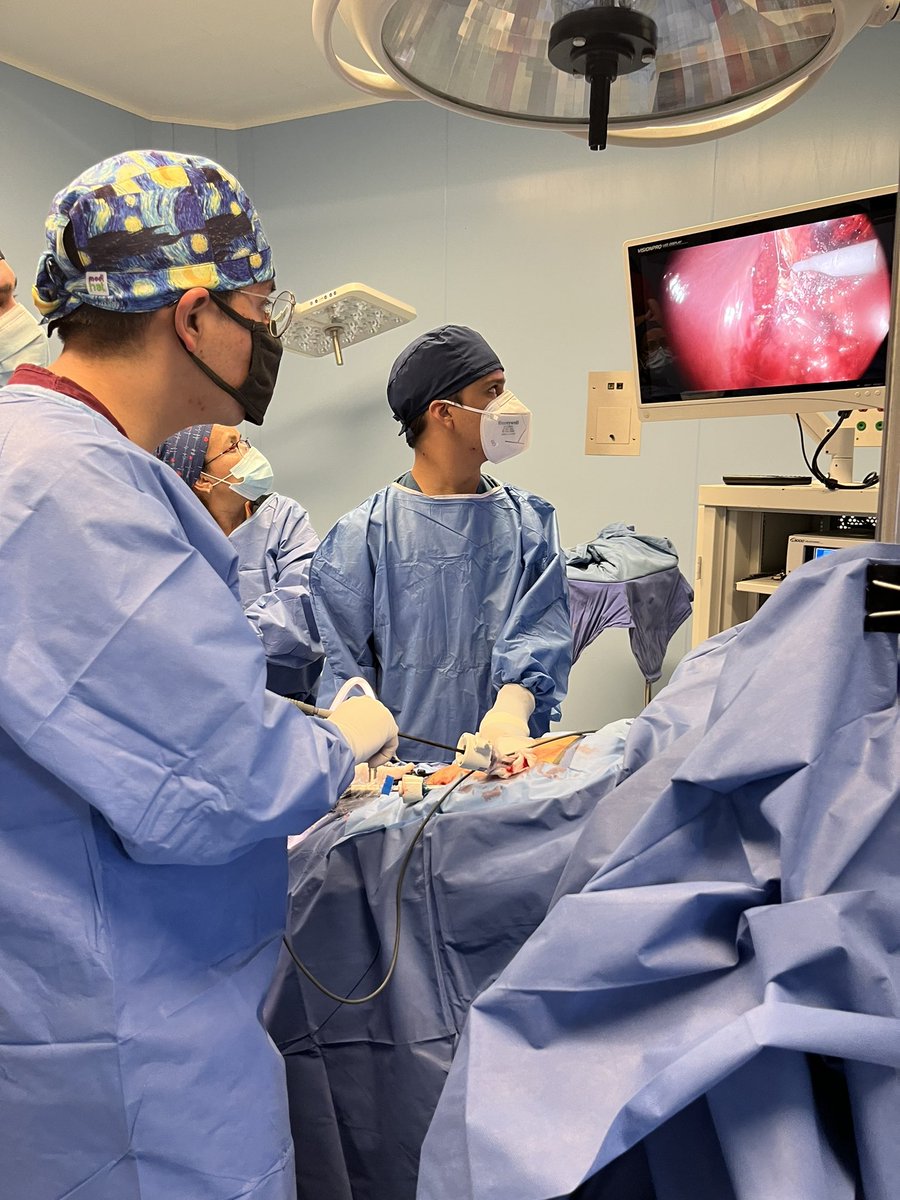 Montse Gp tweet media