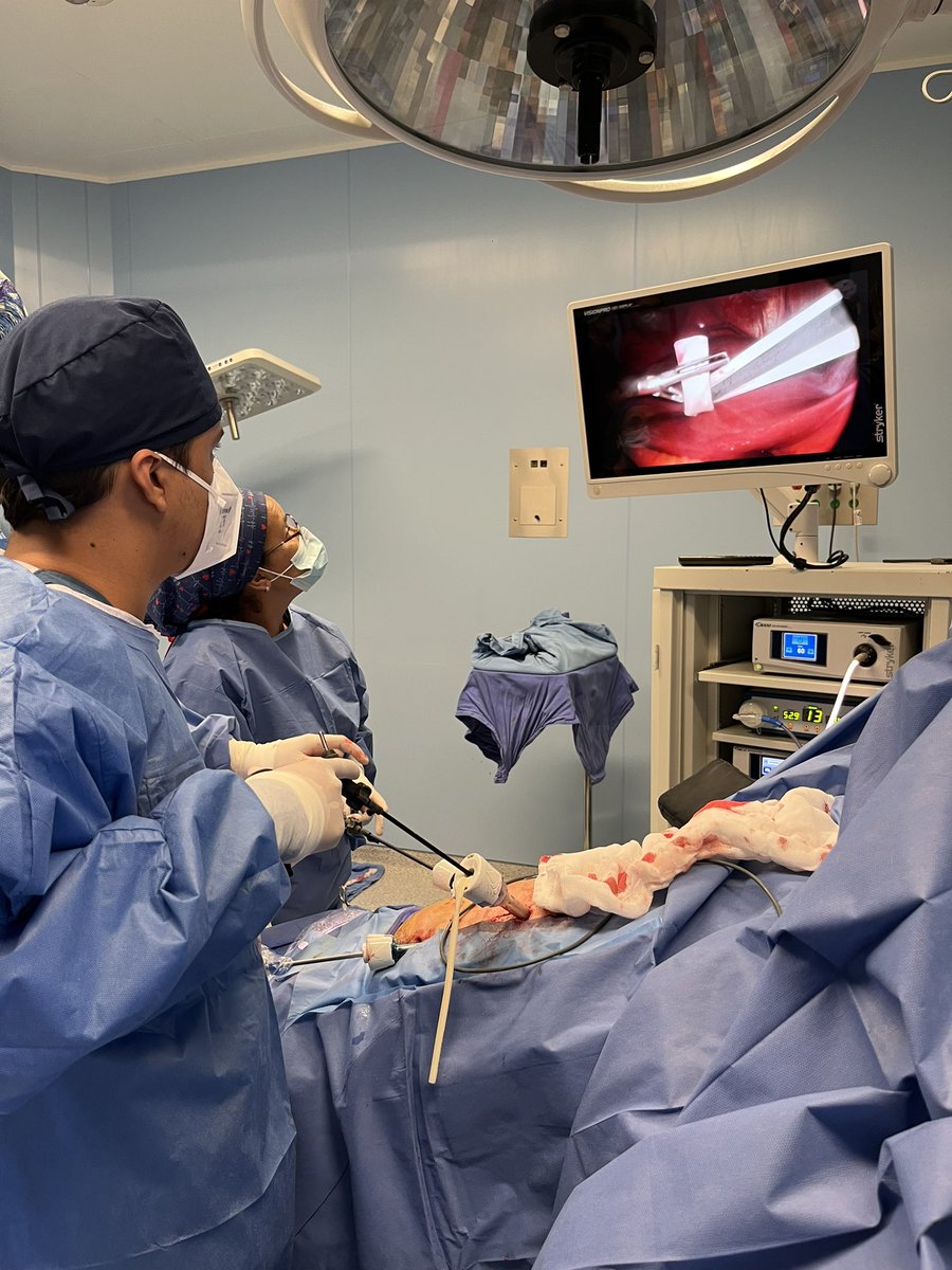 Montse Gp tweet media