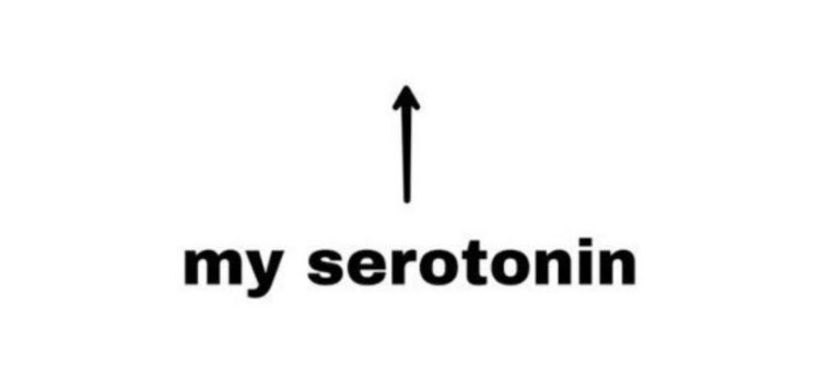 キティ tweet media