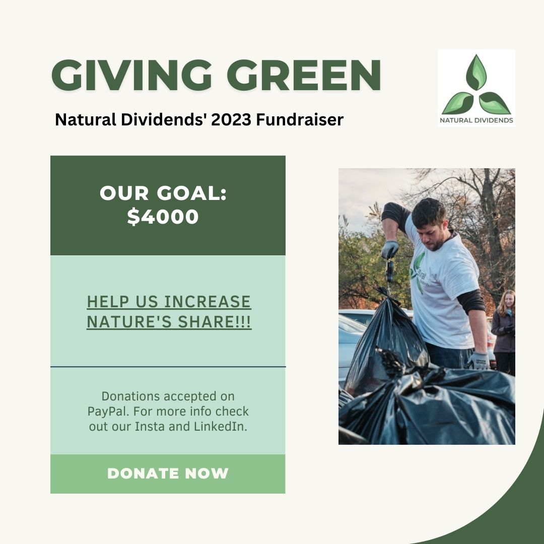 natdividends's tweet photo. Reminder that our 2023 Fundraiser Giving Green is still going! We have updated our goal to $4000, and donations will be accepted through PayPal and now Instagram as well. We appreciate all the support - thank you! 🌎🌳🤍 #naturaldividends #donate #givinggreen https://t.co/JBxMb3aLko