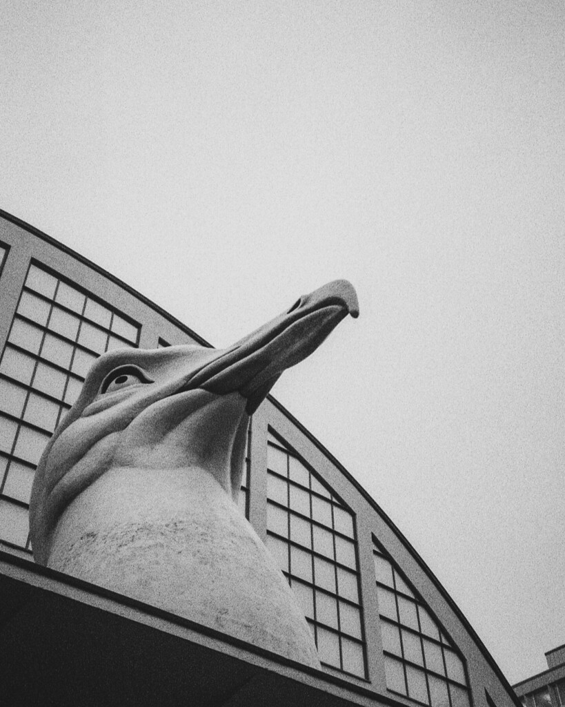 A big seagull stands above the Helsinki Art Museum — January 2023

Ilford HP5 + @lomography LC-A+

#fotostrasse
#heylomography
#analogphotography https://t.co/e68PiMazBj https://t.co/04KoJMuMuq