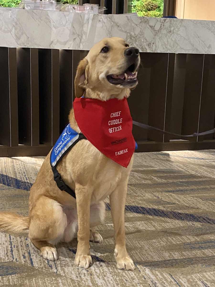 Pro Bono Institute tweet media