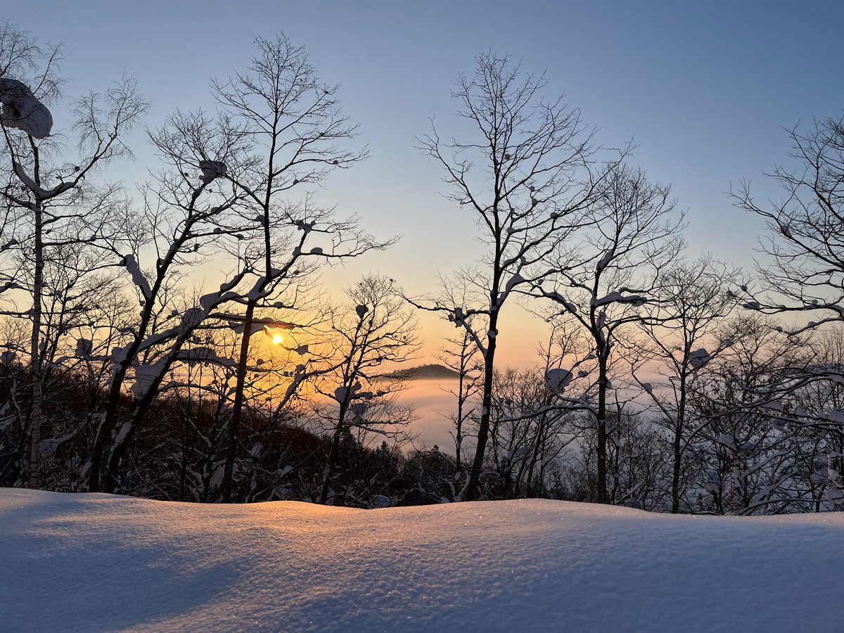 0Tendon's tweet photo. 見おろす景色
見あげる景色 https://t.co/L98G9ocrFZ