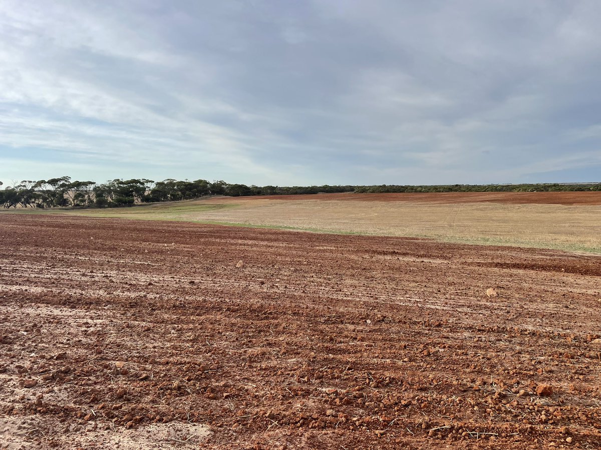 fieldworkssa tweet media