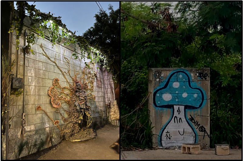 JHRamirezPrado's tweet image. #TheLastofUs
Zona cordyceps en CDMX vs Mérida