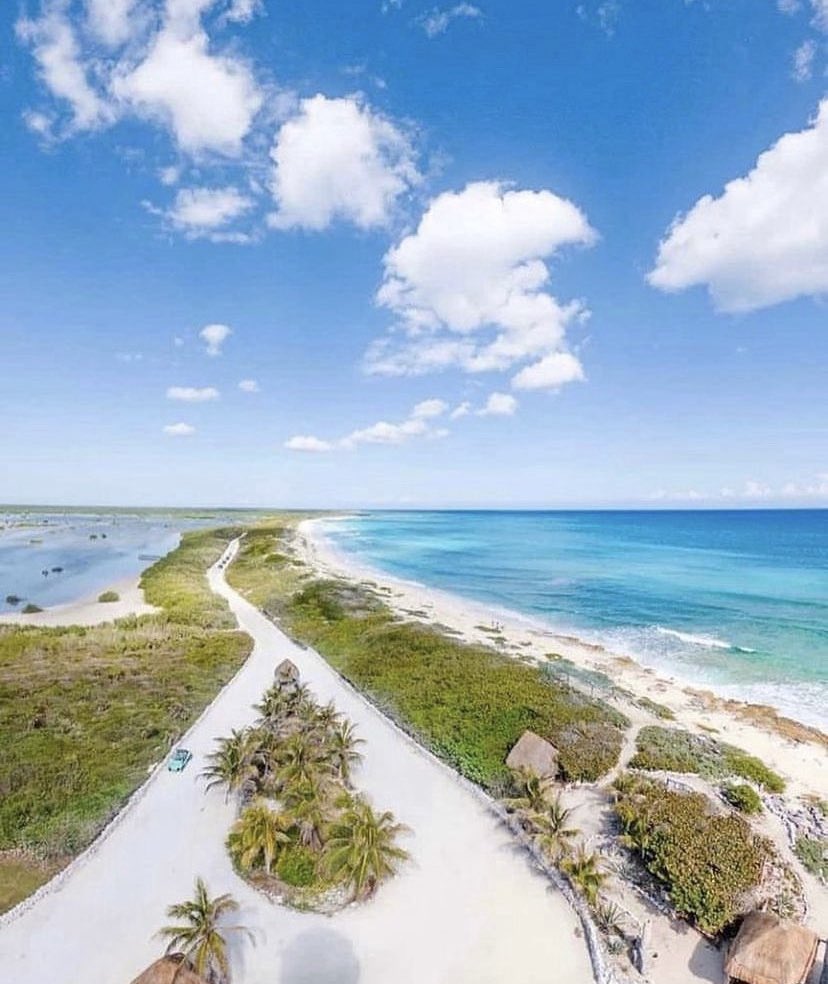 ExploraCaribeMX's tweet photo. Nos encanta compartir la belleza de Cozumel con personas de todo el mundo.
#GoExplora #ExploraCaribe https://t.co/fc0nCsc2R8