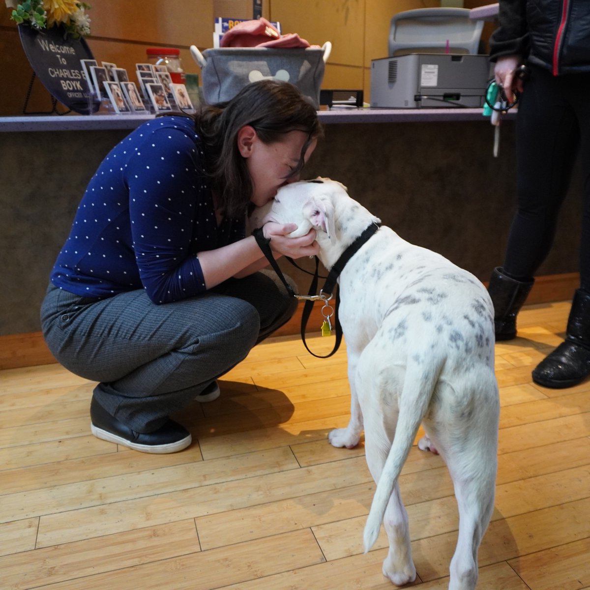 We have wonderful news to share with everyone--Pebble found her forever family! 💗 We knew this day would come, and we wish her all the best! (We're not crying you're crying)