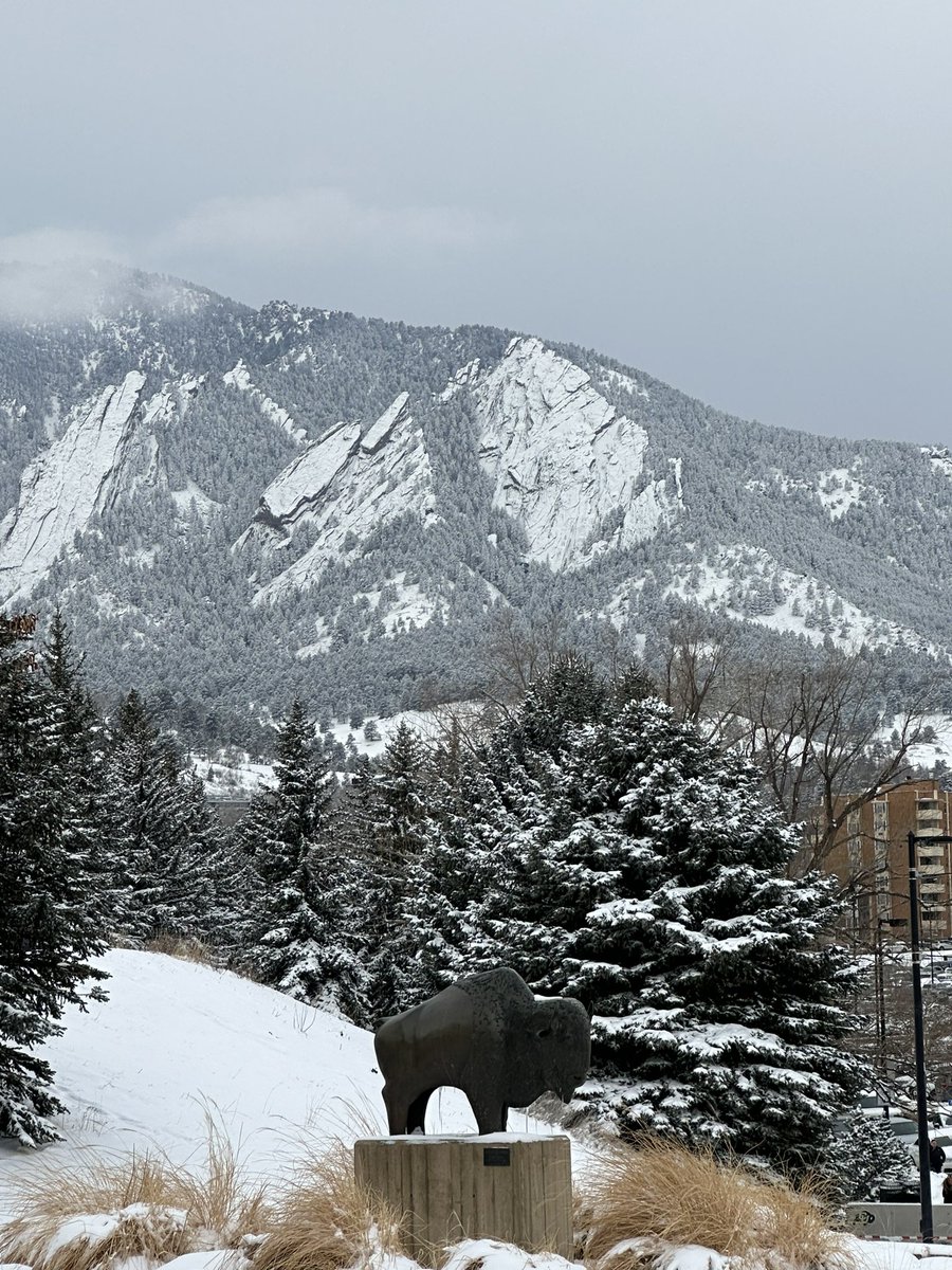 storm80303's tweet photo. @CUBuffs @CUBuffsWBB From outside the game https://t.co/12VnZyprCZ