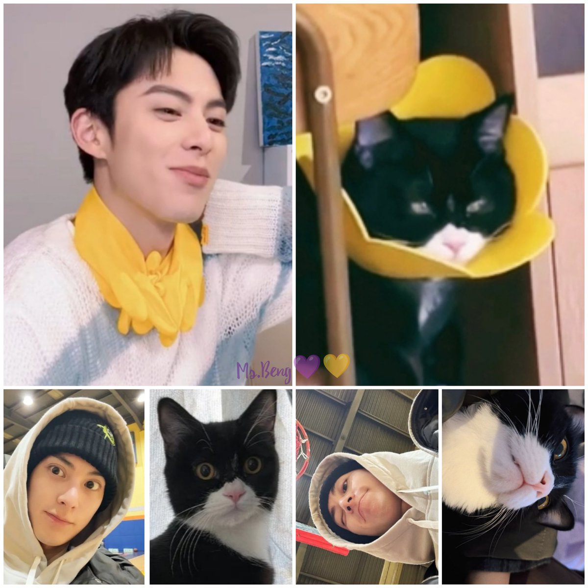 MissBeng31's tweet photo. Father and Son photoshoot!😁🤗
#YueDi #DiYue 💜💛 👨🐱
#ShenYue #WangHedi
#王鹤棣_Dylan #沈月
#FunPhotoCollage
#DylanWang #CaiSi
#MyDiYueFunCorner ✌️
#DiYueForever 🌹 https://t.co/hG8jZ1OJb3