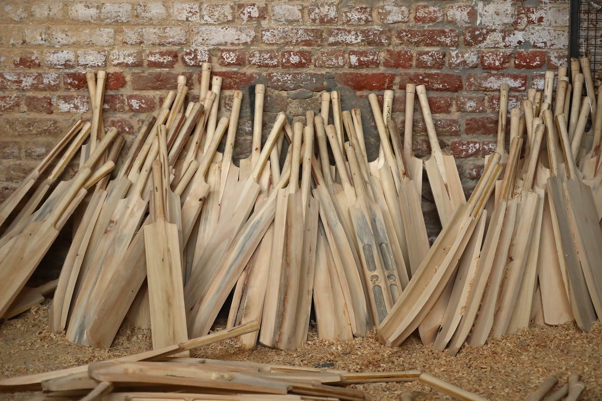 Robert Cianflone tweet media