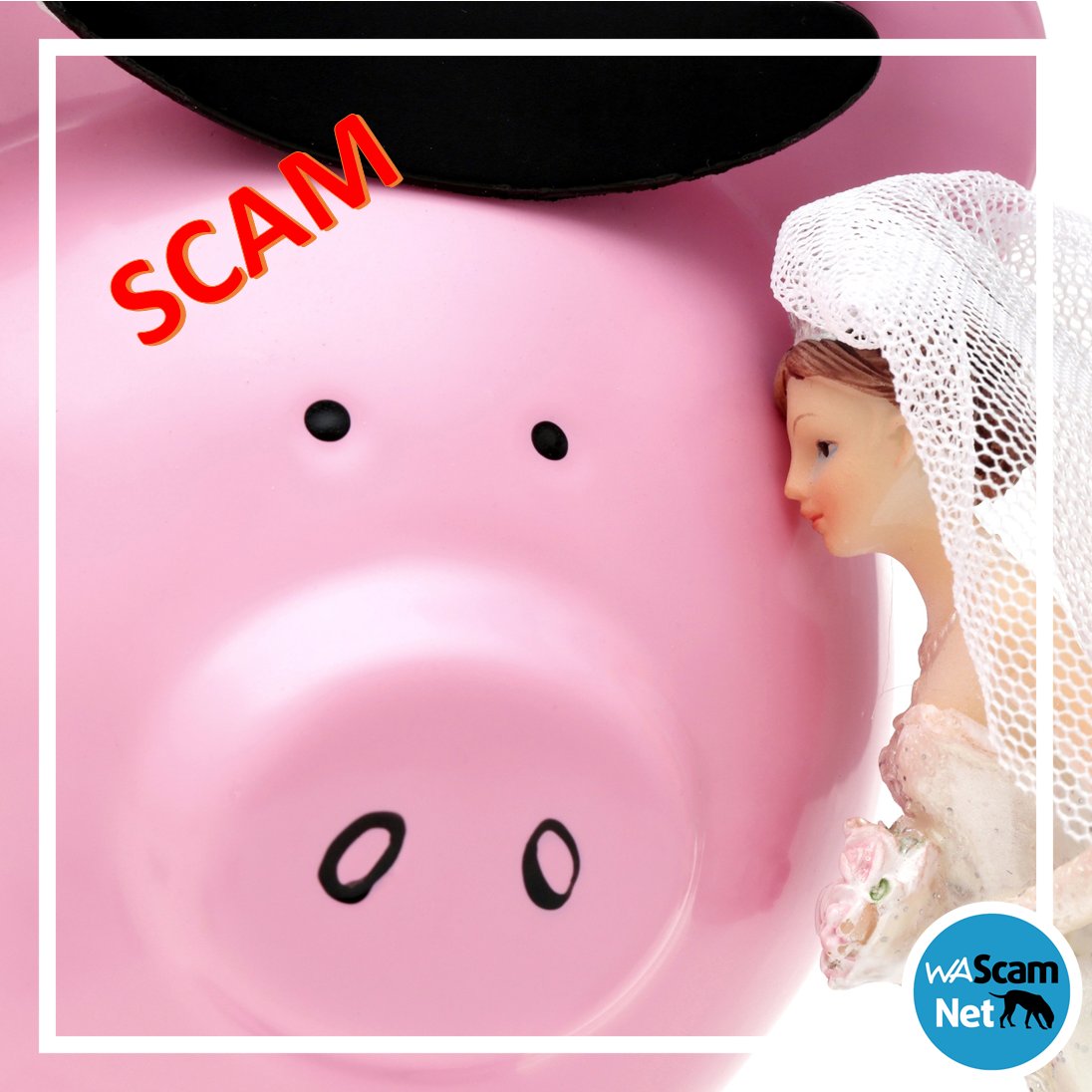 Consumer Protection WA on Twitter: \u0026quot;\ud835\udc03\ud835\udc28\ud835\udc27\u0026#39;\ud835\udc2d \ud835\udc1f\ud835\udc1a\ud835\udc25\ud835\udc25 \ud835\udc1f\ud835\udc28\ud835\udc2b \ud835\udc2d\ud835\udc21\ud835\udc1e \ud835\udc2c\ud835\udc2e\ud835\udc20\ud835\udc1a\ud835\udc2b \ud835\udc1b\ud835\udc1a\ud835\udc1b\ud835\udc32 \ud835\udc2c\ud835\udc1c\ud835\udc1a\ud835\udc26 ...