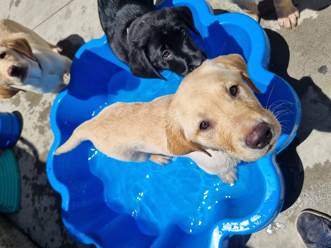 Hope you're all keeping cool in the summer heat.