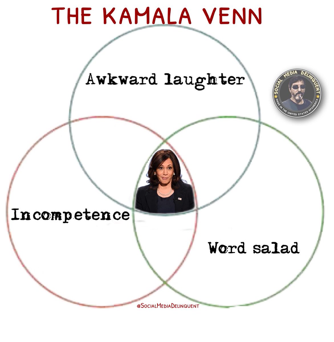 @VP @KamalaHarris #venndiagram