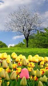 LindaLOliv's tweet image. ❤️🌸❤️🌸❤️🌸❤️🌸
           Have a blessed Friday 
                        ❤️🌸❤️🌸❤️🌸❤️🌸

#PrayForTurkeyAndSyria 🙏💔
#HelpTurkeySyria 🙏❤️