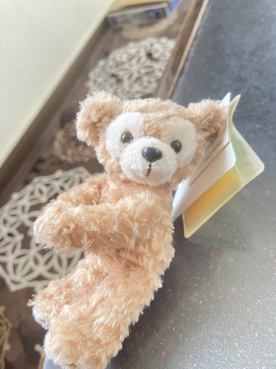Duffylove0905's tweet photo. 10年ぶりぐらいに棚から出したマグネットダッフィー🐻
ぬい撮りにピッタリかもしれない🤔 https://t.co/51Cewa6nHm