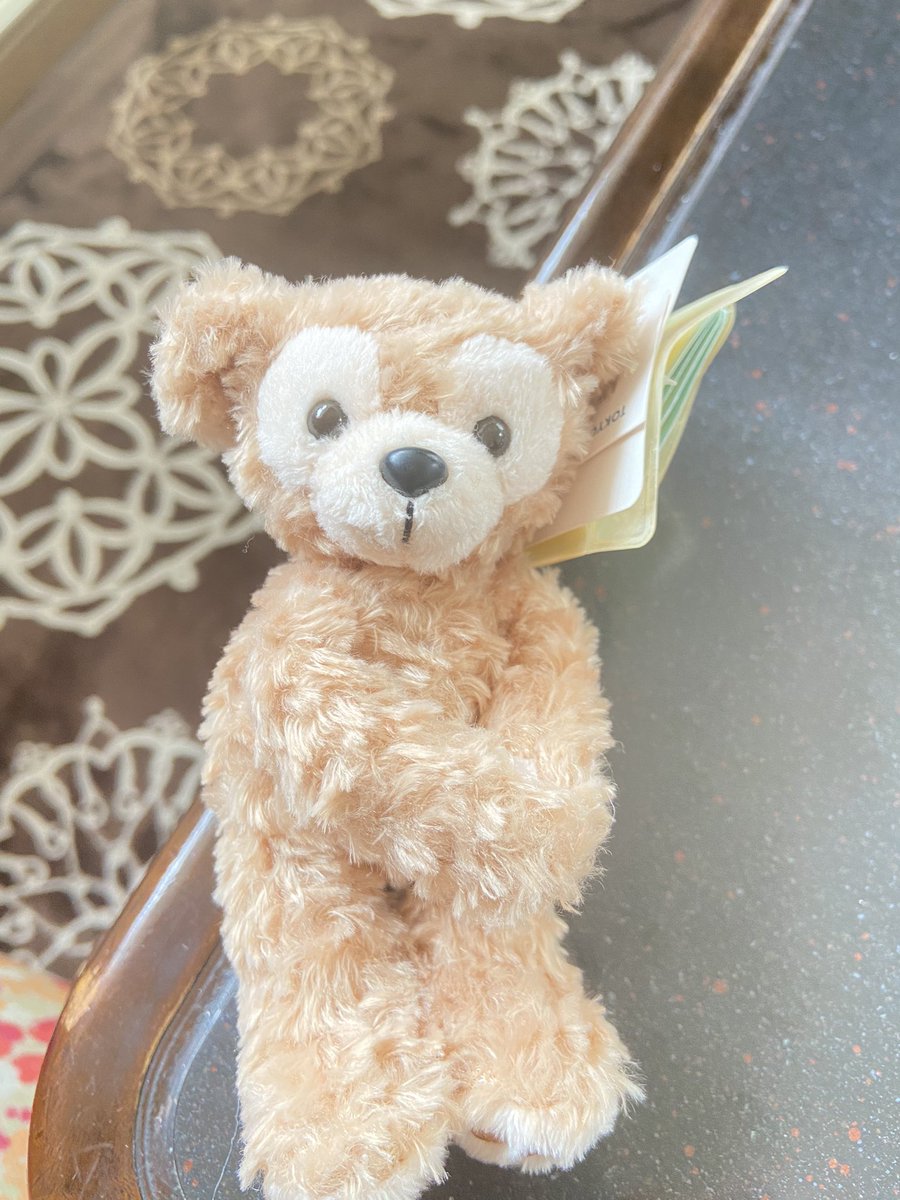 Duffylove0905's tweet photo. 10年ぶりぐらいに棚から出したマグネットダッフィー🐻
ぬい撮りにピッタリかもしれない🤔 https://t.co/51Cewa6nHm
