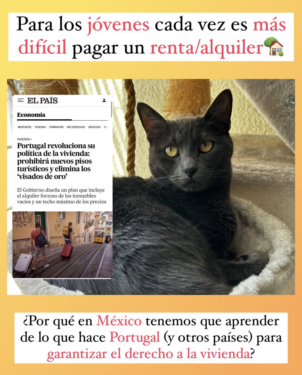 GatitosVsDesig's tweet photo. Para los jóvenes cada vez es más difícil pagar un renta/alquiler.

¿Por qué en México tenemos que aprender de lo que hace Portugal (y otros países) para garantizar el derecho a la vivienda? https://t.co/MD3ULiodFQ