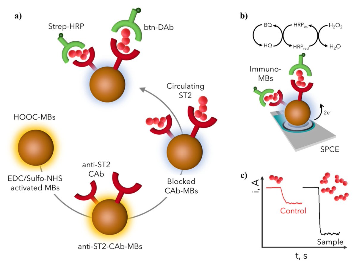 Biosensors_MDPI's tweet photo. #Recommended Paper
📢#Electrochemical #Immunosensing of ST2: A Checkpoint Target in #Cancer Diseases
By:María Pedrero, et al.
👉Read more: https://t.co/b7JZYtn3RI
#Electrochemical
#Immunosensing
#Cancer https://t.co/E2t9zC9Cr0